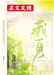 藏夏小說封面