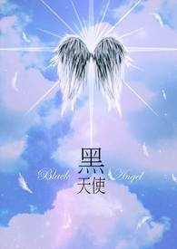 黑天使小说封面