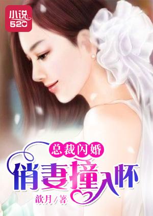 总裁闪婚:俏妻撞入怀